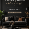 Intérieur d'une pièce décorée avec des meubles modernes à Agra