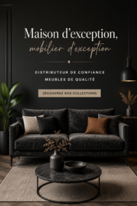 Intérieur d'une pièce décorée avec des meubles modernes à Agra