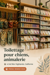 Salon de toilettage pour chiens à Del Mar Highlands avec des animaux heureux et bien soignés