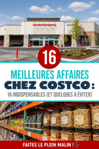 Panier rempli de produits essentiels achetés chez Costco, mettant en avant un style de vie pratique et économique.