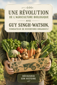 Image montrant un champ de légumes bio cultivés de manière durable