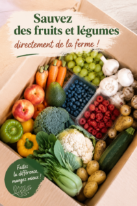 Un panier de fruits et légumes frais provenant d'une ferme