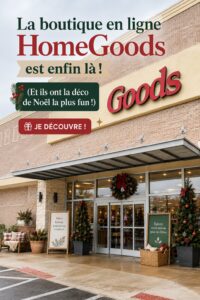 Boutique HomeGoods en ligne présentant des décorations de Noël colorées.